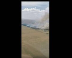 В Павлодарской области из-за грозового разряда загорелся лес. Площадь пожара – 100 га