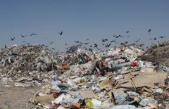 Вывоз мусора в Казахстане подорожает