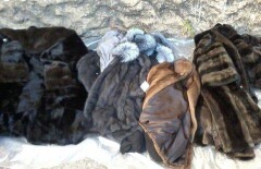 Более 300 китайских норковых шуб пытались незаконно ввезти в Астану