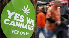 За смертную казнь и легализацию марихуаны проголосовали американцы