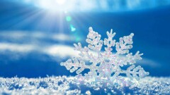 Первый снег в первый день осени обещают синоптики