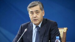 Ермекбаев: 90% уехавших в Сирию казахстанцев сожалеют об этом