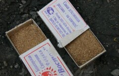 В Акмолинской области пациентов наркологической больницы поймали с марихуаной