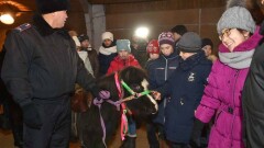 Обещанных акимом СКО пони получили особенные дети перед Новым годом