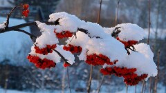 Прогноз погоды на 7 ноября: на большей части территории РК пройдут дожди и снег