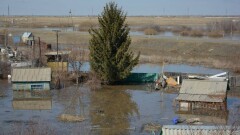 Большая вода пришла: фотореп о казахстанцах, терпящих бедствие в разных уголках страны