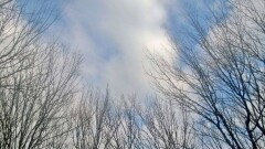 Прогноз погоды на 19 сентября: на юге, центре и востоке Казахстана будет без осадков, на севере – дожди