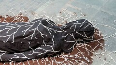 Грибница вместо гробницы: новый способ погребения человека предложила дизайнер из Кореи
