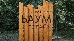 В роще Баума обустраивают детский городок и площадку для собак