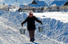 Жители села в Восточно-Казахстанской области пьют из одной реки со скотом