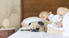 Сколько нужно спать, чтобы выспаться? 5 важных вопросов о здоровом сне