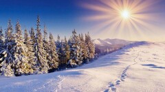 Прогноз погоды на 10 февраля: на большей части страны ожидается снег