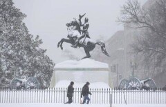 11 губернаторов в США объявили чрезвычайное положение