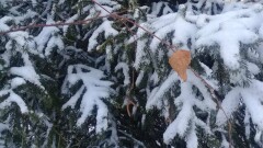 Арамдық пен опасыздықты көрген сайын, алыстаған адалдық ауылын аңсаймыз