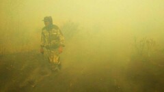 Лесные пожары в Акмолинской и Костанайской областях тушат с вертолёта и эвакуируют сельчан