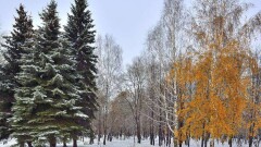 Казгидромет: Начало ноября будет тёплым, сильное похолодание ожидается в третьей декаде