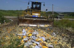 Около 600 тонн санкционной продукции уничтожили в России
