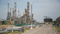 АЗС на солнечных батареях и посадка леса – что делают нефтяные компании для экологии