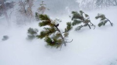 Прогноз погоды на 13 декабря: в северных областях ожидаются метели