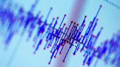 Сейсмологи зафиксировали землетрясение в Алматинской области