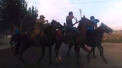 Лошадь заскочила на автомобиль в пригороде Алматы во время игры в кокпар на дороге