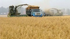 Минсельхоз опубликовал новую стратегию "КазАгро". Холдинг уменьшат и внедрят Agile