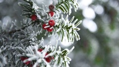 Прогноз погоды на 4 февраля: осадки ожидаются на большей части территории Казахстана