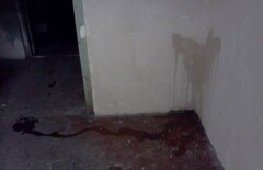 Пользователи Казнета вступились за писающий патруль