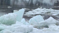 Двухлетний ребёнок ушёл из детсада и едва не утонул в Есиле