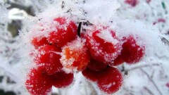 О погоде 5 декабря рассказали синоптики