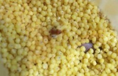 Крупу с жучками и личинками продают в Рудном