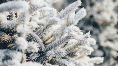 Прогноз погоды на 7 января: ветер и осадки ожидаются на большей части Казахстана