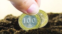 В ВКО вынесли приговор экс-директору Фонда финансовой поддержки сельского хозяйства