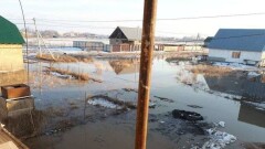 В Алматинской области из-за резкого таяния снега подтоплены 130 дворов