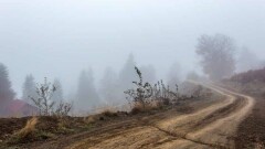 Прогноз погоды на 25 октября: туман, гололёд, усиление ветра ожидаются по всему Казахстану, кроме юга