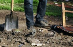 Сельчанин с лопатой защитил полицейского от хулиганов в Восточном Казахстане