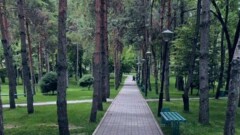 В парке имени Ганди брусчатку заменили на асфальт ради безопасности во время митингов