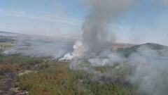В Баянауле четвёртый день тушат крупный пожар на территории национального парка 