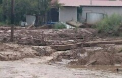 Данные чиновников по количеству эвакуированных жителей Наурызбайского района расходятся