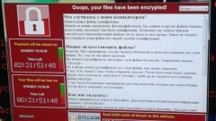 Масштабной кибератаке подверглись компьютеры по всему миру