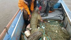 Сотрудник природного резервата в Атырау промышлял браконьерством