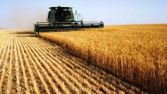 Казахстанским фермерам раздадут займы под 2%