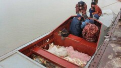 Прокурор Атырауской области написал резкую отповедь защитникам браконьеров