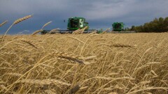 Экономика АПК: что нужно Казахстану, чтобы стать агродержавой