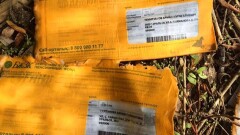Выброшенные пенсионные выписки с личными данными сотен казахстанцев нашли в Уральске