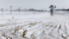 Прогноз погоды на 21 февраля: в четырёх областях объявили штормовое предупреждение