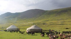 Алтай қазақтары. Жайлаудағы бір күн