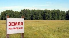За три тысячи тенге продали земельные участки во время аукциона в Уральске