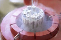 Американские учёные рекомендуют мужчинам замораживать сперму