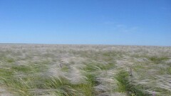 Аграрии Костанайской области возвращают в госфонд сельхозземли
